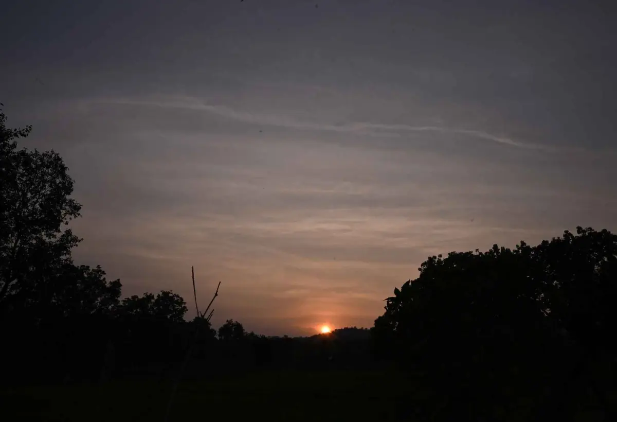 Sunset over the forest at The Olive Resort, Tala Bandhavgarh