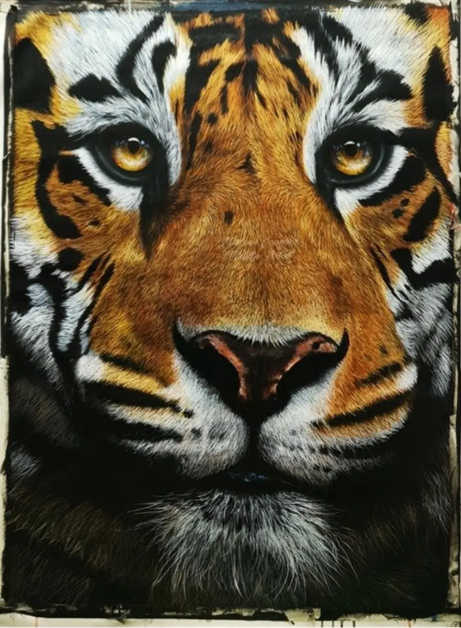 Mr. X cottage at The Olive Resort Bandhavgarh